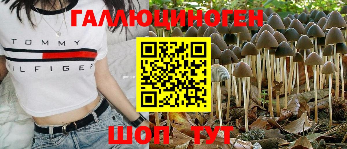Саранск  Галлюциногенные грибы ЛСД  Вход с VPN 